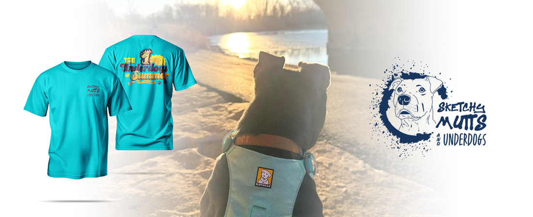 Sketchy Mutts & Underdogs Rescue