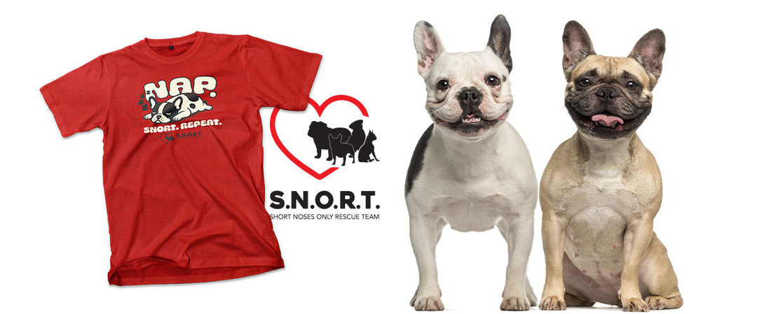 SNORT Rescue