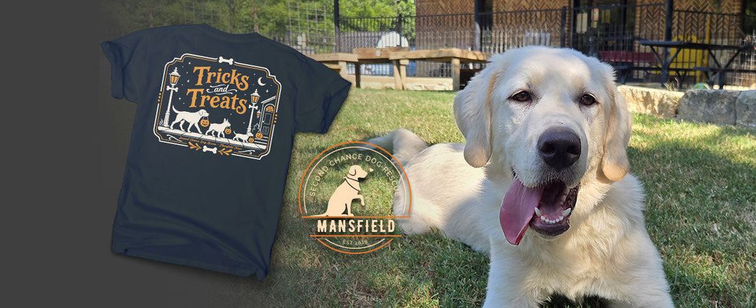 Second Chance Dog Rescue - Mansfield